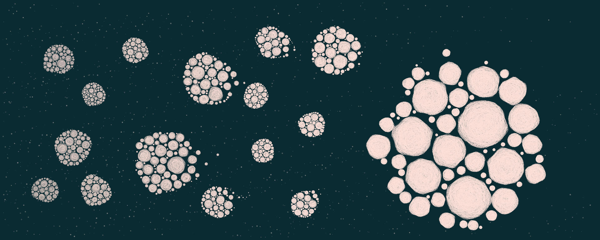 Colecciones Rodriguin Studio